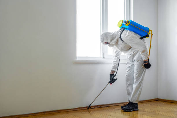 Best Emergency Pest Control  in Delmar, MD